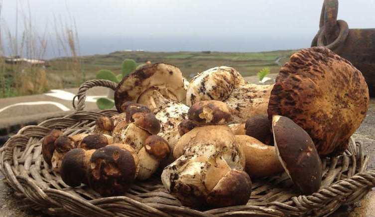 Pantelleria Le Ballute Villa Tracino Esterno foto