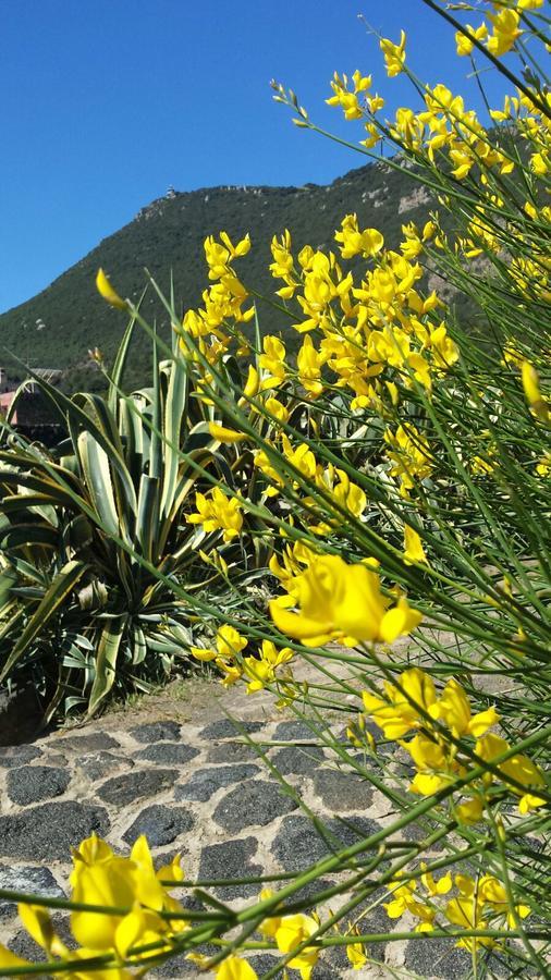 Pantelleria Le Ballute Villa Tracino Esterno foto